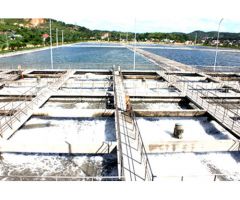 Xử lý nước thải nguy hại & nước thải công nghiệp